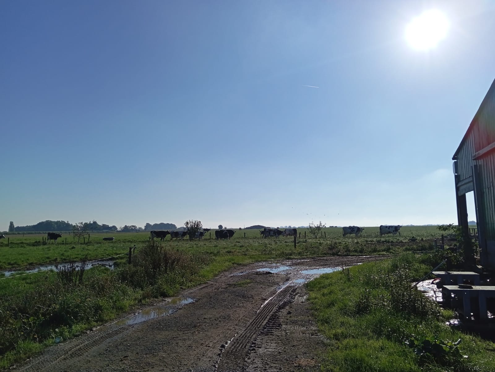 Visite d'une exploitation d'élevage laitier